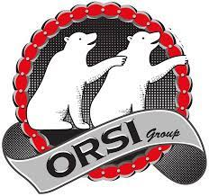 ORSI GROUP